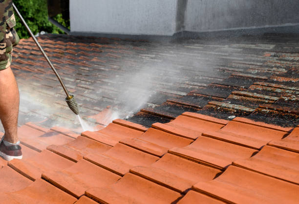 Best House Pressure Washing  in Clisle, AR